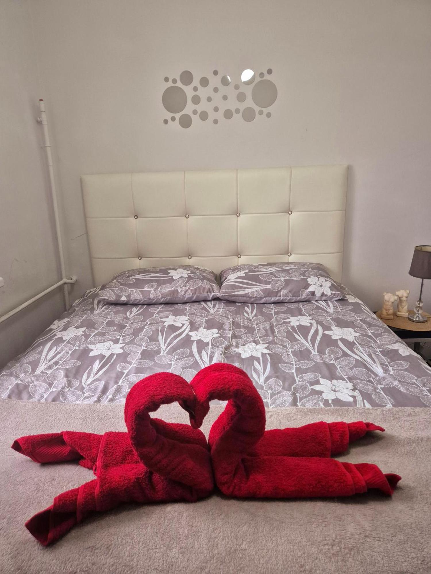 Apartament Zdunska Włocławek Εξωτερικό φωτογραφία